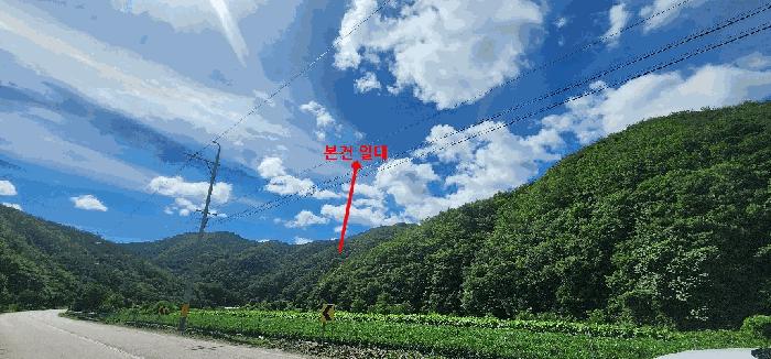 법원경매 2025타경10278 사진2 | 영덕군 남정면 도천리 임야 경매