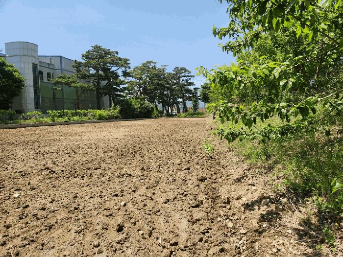 경상북도 울진군 북면 부구리 855-4 법원경매 물건 대표사진