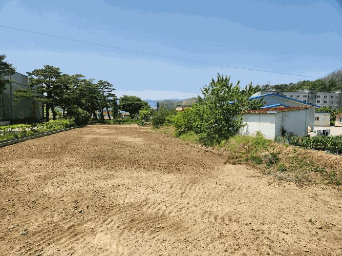 법원경매 2025타경10229 사진3 | 울진군 북면 부구리 855-4 답 경매