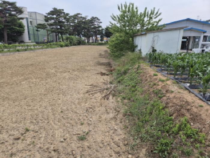 법원경매 2025타경10229 사진4 | 울진군 북면 부구리 855-4 답 경매