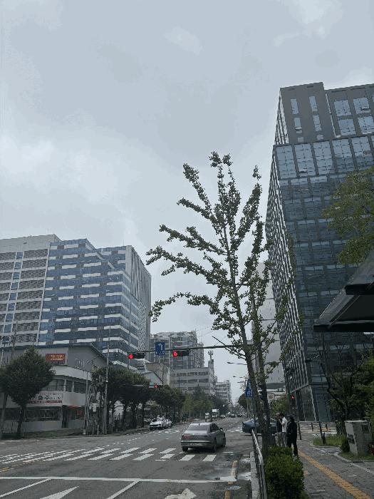 2025타경541 법원경매 사진7 | 서울 금천구 아파트 경매
