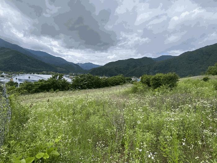 강원특별자치도 정선군 여량면 여량리 374 법원경매 물건 대표사진