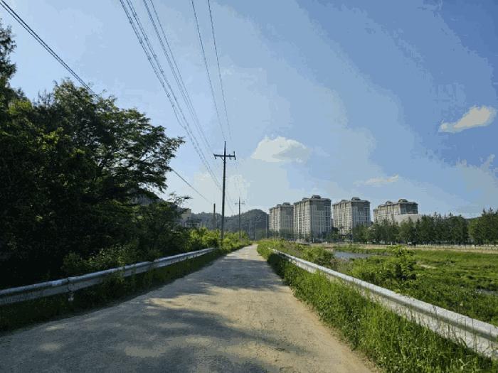 법원경매 2025타경30483 사진2 | 평창군 대관령면 수하리 임야 경매