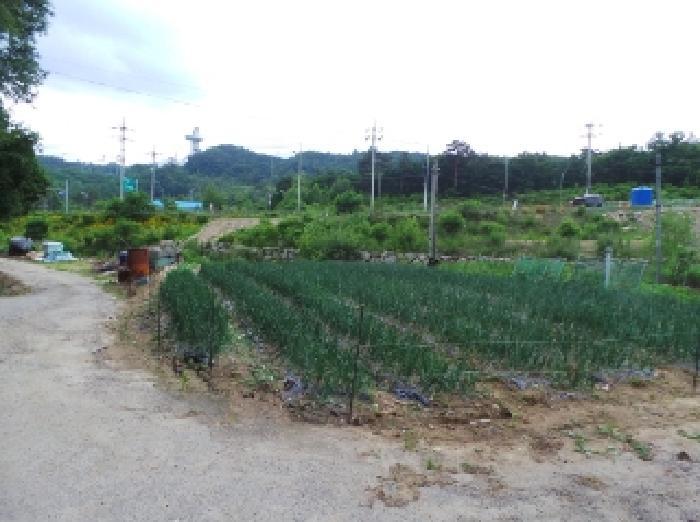 법원경매 2025타경30489 사진11 | 평창군 대관령면 수하리 204-9 대지,임야,전답 경매
