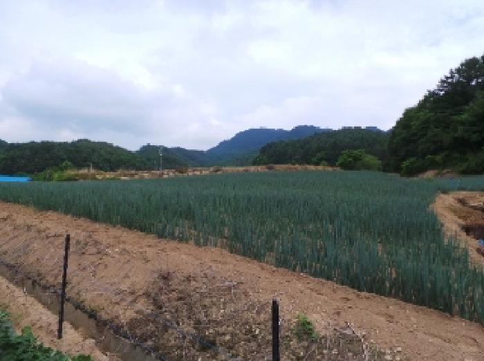 강원특별자치도 평창군 진부면 송정리 1801-2 법원경매 물건 대표사진