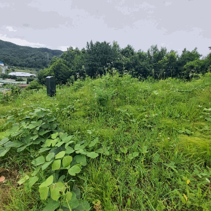2025타경3616 법원경매 사진3 | 충남 금산군 대지,임야,전답 경매