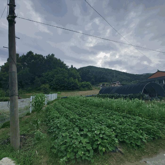 2025타경3616 법원경매 사진4 | 충남 금산군 대지,임야,전답 경매