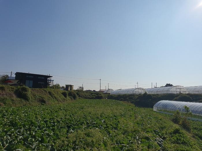 2024타경20921 법원경매 사진10 | 충남 보령시 답 경매