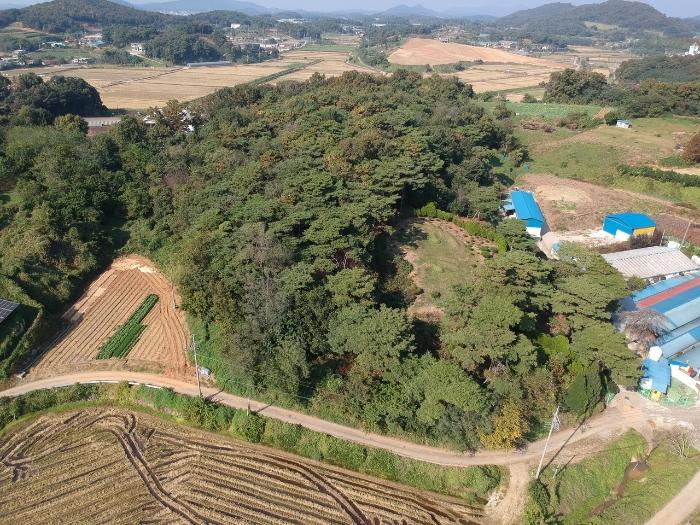 2024타경20921 법원경매 사진13 | 충남 보령시 답 경매