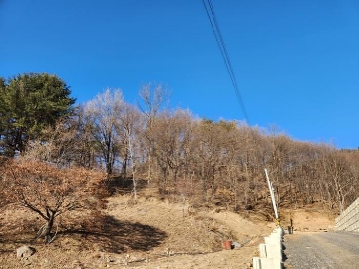 2026타경16 법원경매 사진14 | 경기 양주시 임야 경매