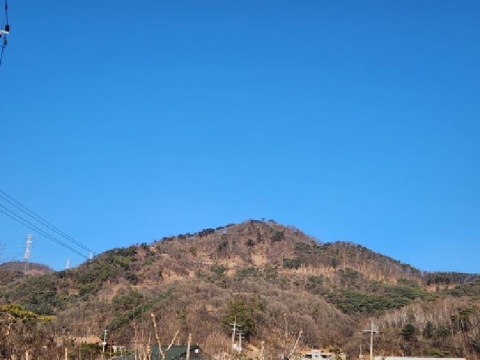 2026타경16 법원경매 사진19 | 경기 양주시 임야 경매