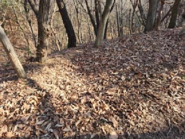 경기 양주시 남면 신암리 12-14 임야 사진 4