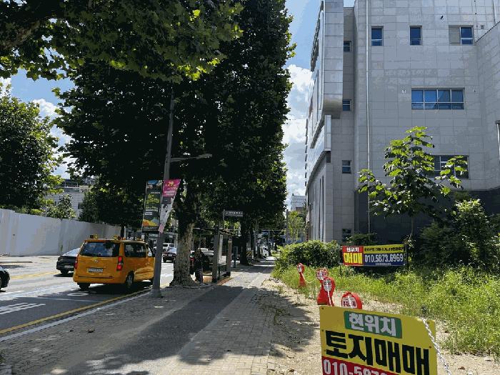 2025타경503177 법원경매 사진3 | 대전 중구 대지,임야,전답 경매