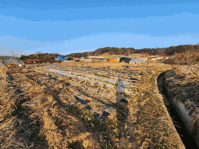 2025타경15567 법원경매 사진10 | 충남 홍성군 전 경매