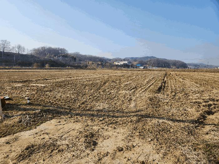 2025타경15567 법원경매 사진16 | 충남 홍성군 전 경매