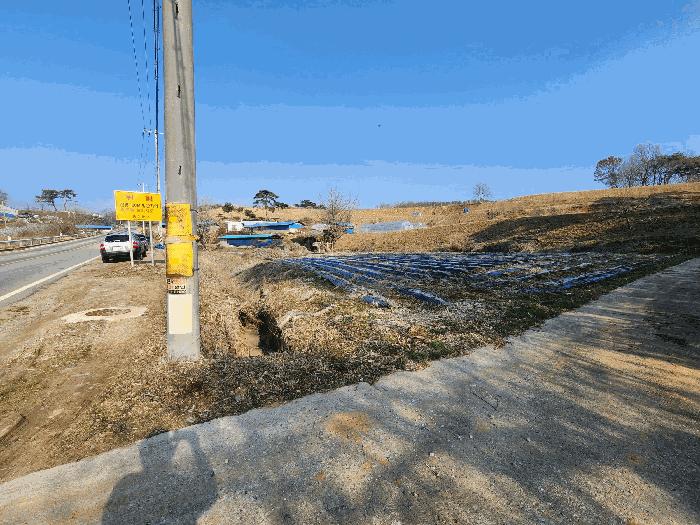 2025타경15567 법원경매 사진17 | 충남 홍성군 전 경매
