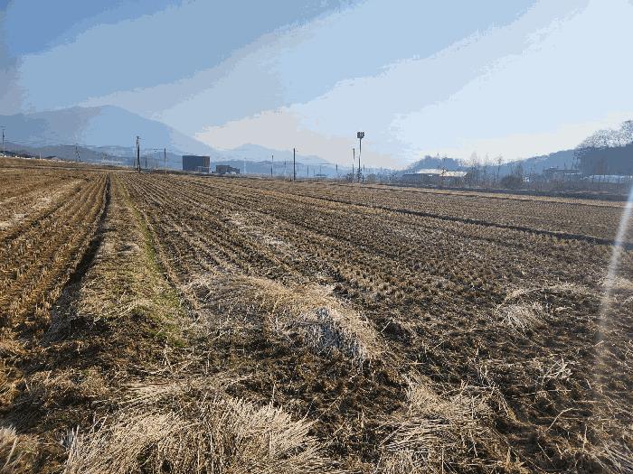2025타경15567 법원경매 사진19 | 충남 홍성군 전 경매