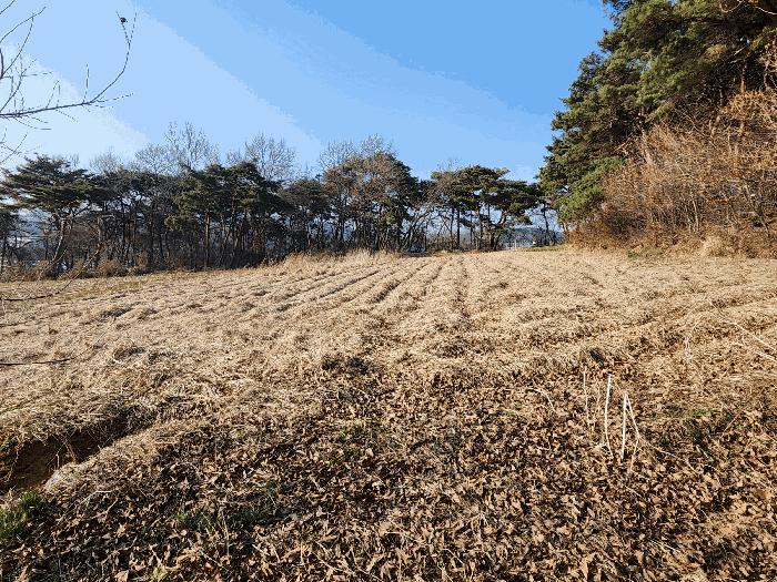 2025타경15567 법원경매 사진2 | 충남 홍성군 전 경매