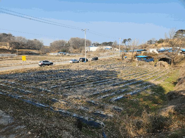 2025타경15567 법원경매 사진6 | 충남 홍성군 전 경매