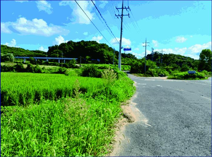 충남 부여군 양화면 암수리 376-4 전 사진 2