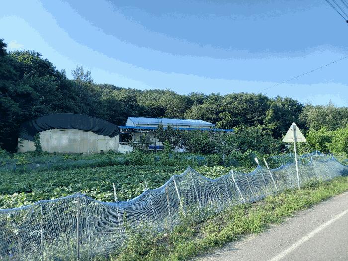 충청남도 서천군 마서면 옥산리 26 법원경매 물건 대표사진