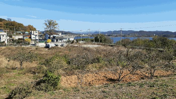 법원경매 2025타경3569 사진2 | 성주군 선남면 선원리 113 답 경매