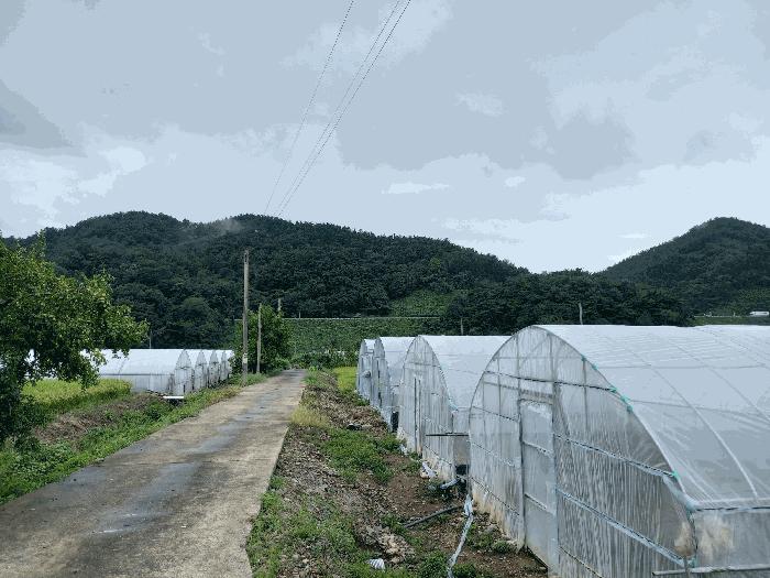 충청남도 서천군 종천면 신검리 산36-4 법원경매 물건 대표사진