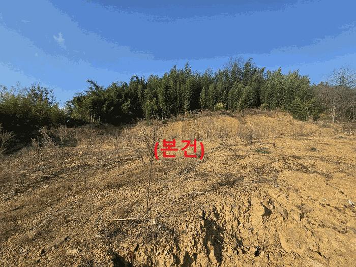 경상북도 성주군 용암면 기산리 397 법원경매 물건 대표사진