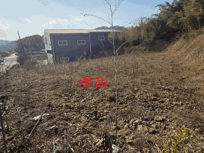 법원경매 2025타경3668 사진2 | 성주군 용암면 기산리 397 묘지 경매