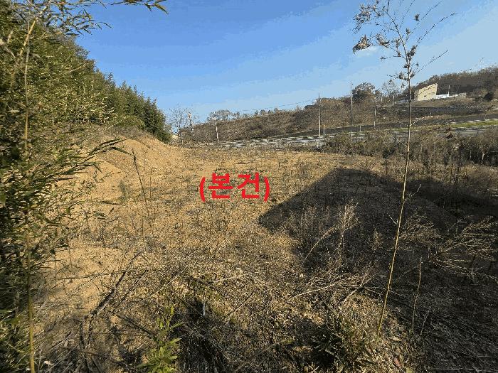 법원경매 2025타경3668 사진4 | 성주군 용암면 기산리 397 묘지 경매