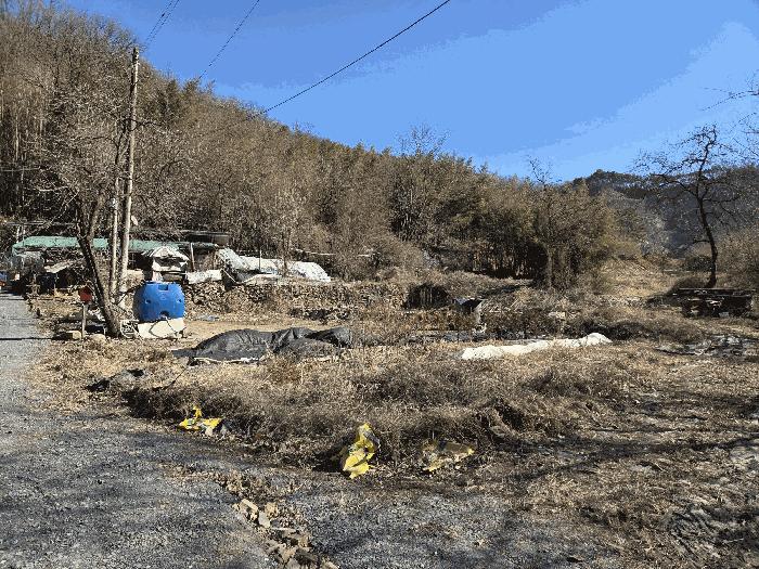 경상북도 성주군 용암면 사곡리 산96 법원경매 물건 대표사진