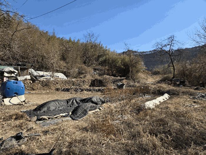 법원경매 2025타경3712 사진8 | 성주군 용암면 사곡리 임야 경매