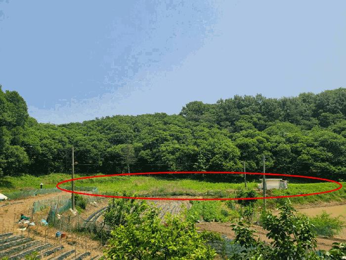 2025타경61 법원경매 사진4 | 충남 공주시 전 경매