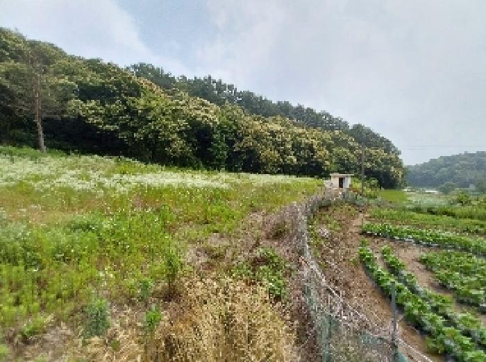 2025타경61 법원경매 사진9 | 충남 공주시 전 경매