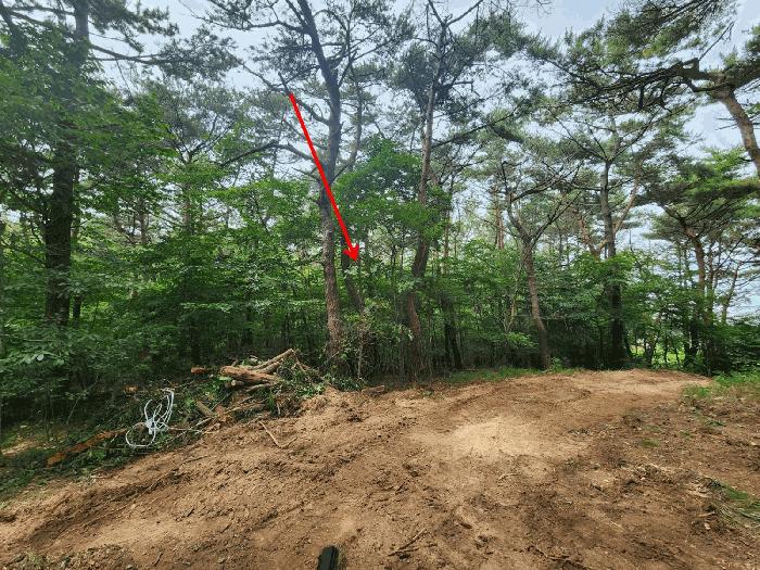 충남 서산시 팔봉면 고파도리 산10-6 임야 경매 물건 사진