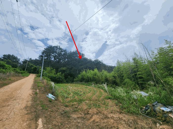 충남 서산시 팔봉면 고파도리 산10-6 임야 사진 2