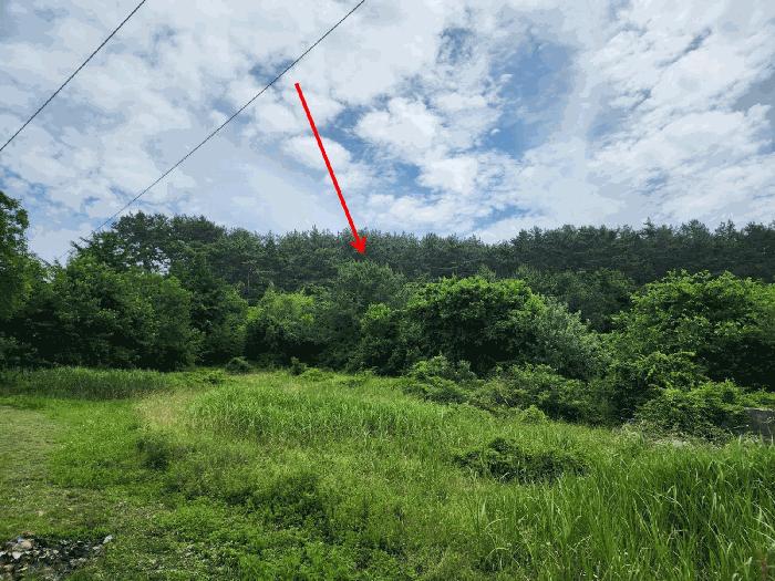 충남 서산시 팔봉면 고파도리 산10-6 임야 사진 3