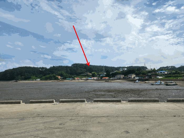 충남 서산시 팔봉면 고파도리 산10-6 임야 사진 5