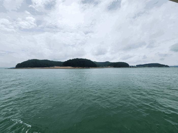 충남 서산시 팔봉면 고파도리 산10-6 임야 사진 6