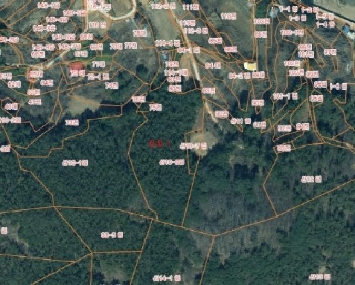 2025타경51442 법원경매 사진9 | 충남 서산시 임야 경매