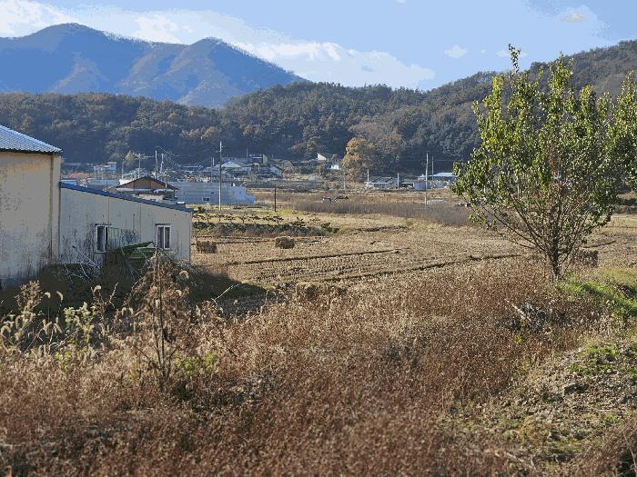2025타경101 법원경매 사진8 | 충남 공주시 기타 경매
