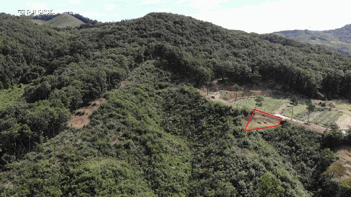 충남 공주시 탄천면 운곡리 산9 임야 사진 2