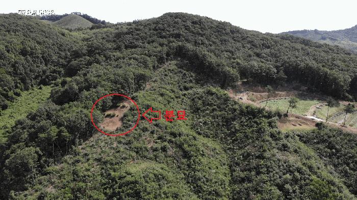 충남 공주시 탄천면 운곡리 산9 임야 사진 3