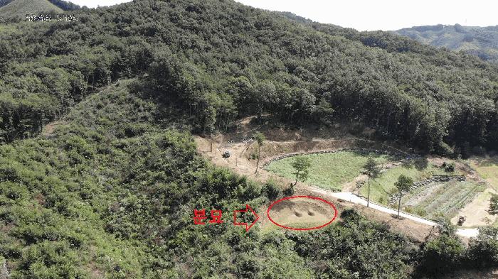 충남 공주시 탄천면 운곡리 산9 임야 사진 4
