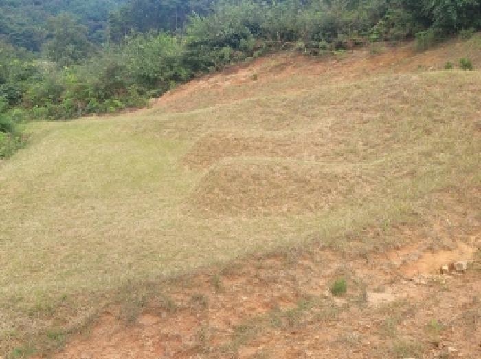 충남 공주시 탄천면 운곡리 산9 임야 사진 6