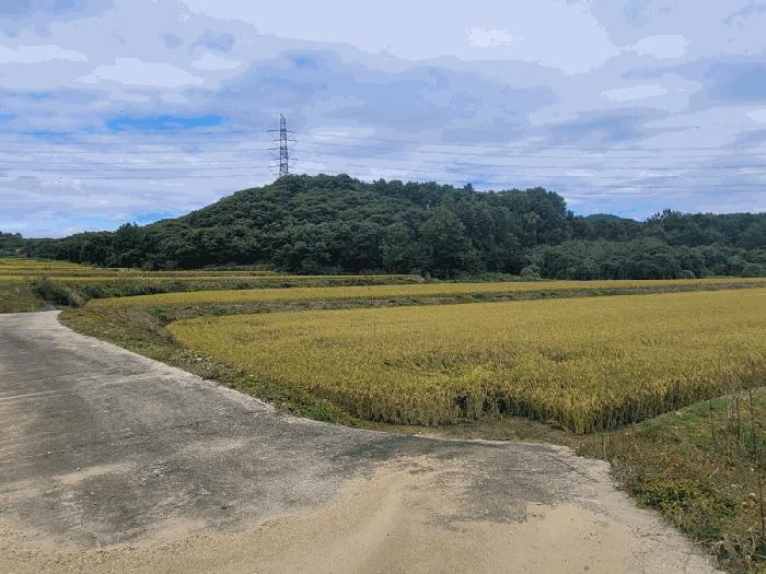 충청남도 공주시 이인면 신영리 255-2 법원경매 물건 대표사진