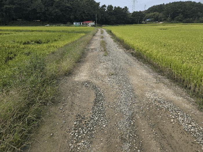 2025타경51726 법원경매 사진5 | 충남 서산시 답 경매