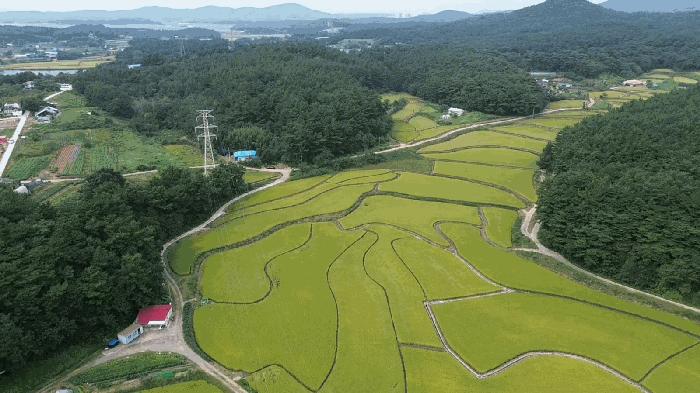 2025타경51726 법원경매 사진6 | 충남 서산시 답 경매