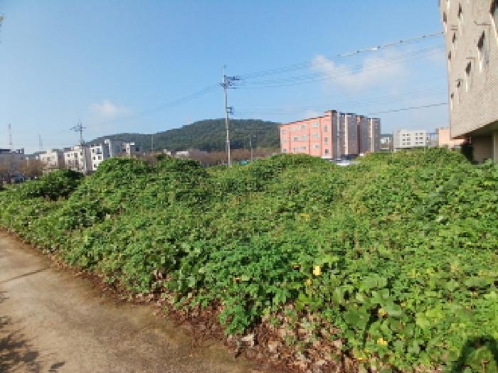 2025타경51750 법원경매 사진3 | 충남 당진시 대지 경매