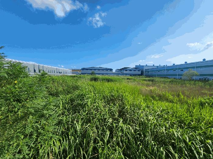 2025타경33609 법원경매 사진2 | 전남 나주시 공장용지 경매
